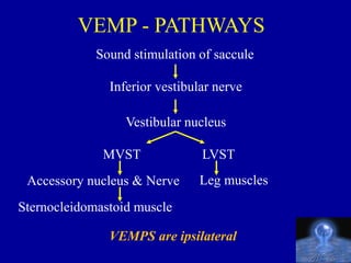 Vemp Lab VEMP | PPT