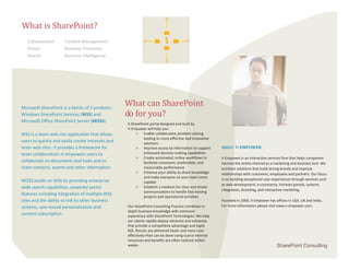 V  Empower Share Point Consulting
