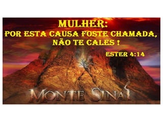 Vem visita - RAQUEL SILVA