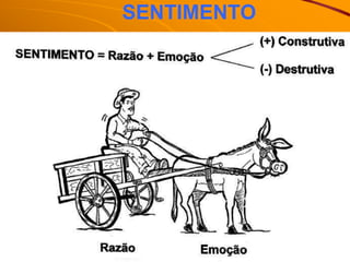 SENTIMENTO
 