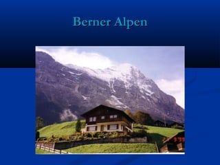 Berner AlpenBerner Alpen