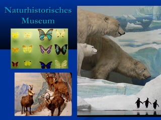 NaturhistorischesNaturhistorisches
MuseumMuseum