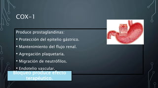 COX-1
Produce prostaglandinas:
• Protección del epitelio gástrico.
• Mantenimiento del flujo renal.
• Agregación plaquetaria.
• Migración de neutrófilos.
• Endotelio vascular.
Bloqueo produce efecto
terapéutico.
 