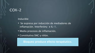 COX-2
Inducible
• Se expresa por inducción de mediadores de
inflamación. Interferónγ e IL-1.
• Media procesos de inflamación.
• Constitutiva SNC y riñón.
Bloqueo produce efecto terapéutico.
 