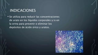 INDICACIONES
• Se utiliza para reducir las concentraciones
de urato en los líquidos corporales y/o en
la orina para prevenir o eliminar los
depósitos de ácido úrico y uratos.
 