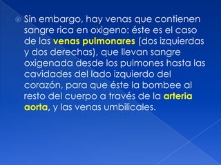    Sin embargo, hay venas que contienen
    sangre rica en oxigeno: éste es el caso
    de las venas pulmonares (dos izqu...