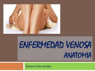 ENFERMEDAD VENOSA
ANATOMIA
Tatiana Hernández

 