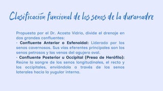 venas de la cabeza y cuello, según fernando quiroz | PDF