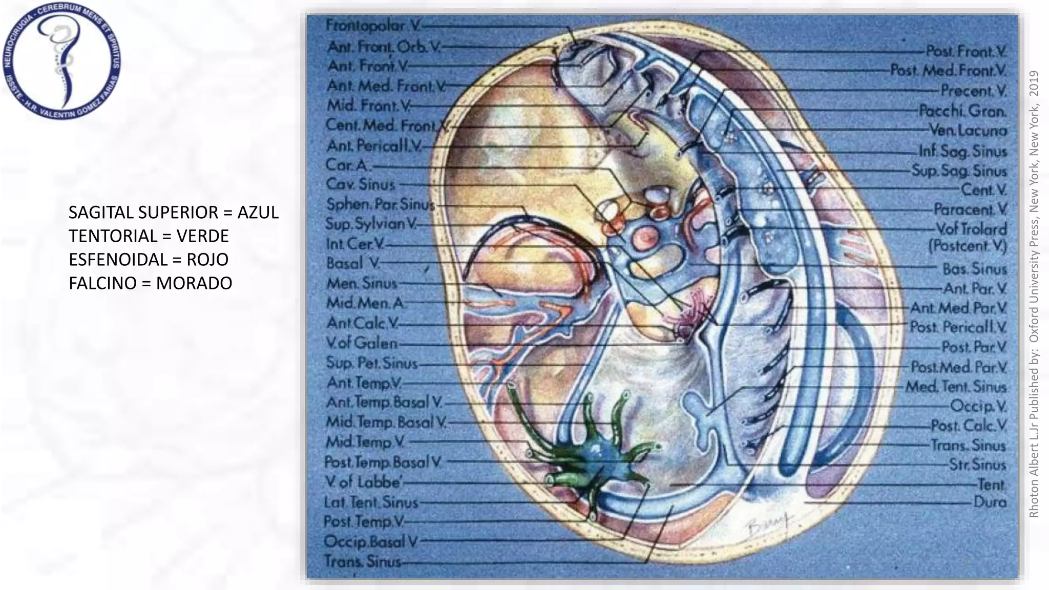 VENAS CEREBRALES rhoton .pptx