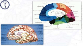 VENAS CEREBRALES rhoton .pptx