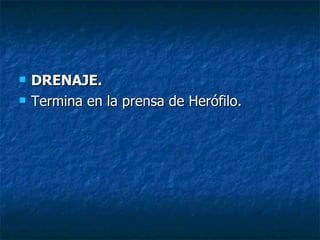 DRENAJE. Termina en la prensa de Herófilo. 