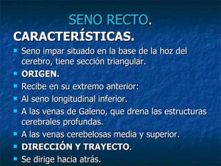SENO RECTO . CARACTERÍSTICAS. Seno impar situado en la base de la hoz del cerebro, tiene sección triangular. ORIGEN. Recibe en su extremo anterior: Al seno longitudinal inferior. A las venas de Galeno, que drena las estructuras cerebrales profundas. A las venas cerebelosas media y superior. DIRECCIÓN Y TRAYECTO . Se dirige hacia atrás. 