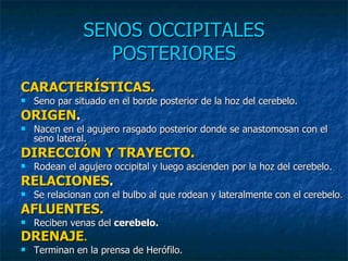 SENOS OCCIPITALES POSTERIORES CARACTERÍSTICAS. Seno par situado en el borde posterior de la hoz del cerebelo. ORIGEN . Nacen en el agujero rasgado posterior donde se anastomosan con el seno lateral. DIRECCIÓN Y TRAYECTO. Rodean el agujero occipital y luego ascienden por la hoz del cerebelo. RELACIONES . Se relacionan con el bulbo al que rodean y lateralmente con el cerebelo . AFLUENTES. Reciben venas del  cerebelo. DRENAJE . Terminan en la prensa de Herófilo. 
