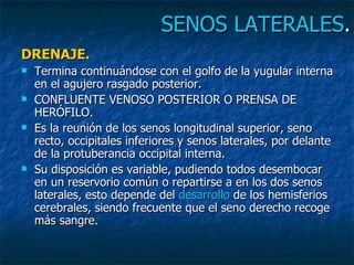 Venas cons | PPT