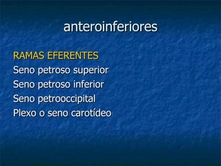 anteroinferiores RAMAS EFERENTES Seno petroso superior Seno petroso inferior Seno petrooccipital Plexo o seno carotídeo 