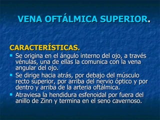 CARACTERÍSTICAS. Se origina en el ángulo interno del ojo, a través vénulas, una de ellas la comunica con la vena angular del ojo. Se dirige hacia atrás, por debajo del músculo recto superior, por arriba del nervio óptico y por dentro y arriba de la arteria oftálmica. Atraviesa la hendidura esfenoidal por fuera del anillo de Zinn y termina en el seno cavernoso. VENA OFTÁLMICA SUPERIOR . 