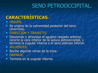 SENO PETROOCCIPITAL. CARACTERÍSTICAS . ORIGEN. Se origina de la extremidad posterior del seno cavernoso. DIRECCIÓN Y TRAYECTO. Desciende y atraviesa el agujero rasgado anterior, recorre la cara inferior de la sutura petrooccipital, y termina la yugular interna o el seno petroso inferior. AFLUENTES. Recibe algunas venas de la zona. DRENAJE. Termina en la yugular interna. 