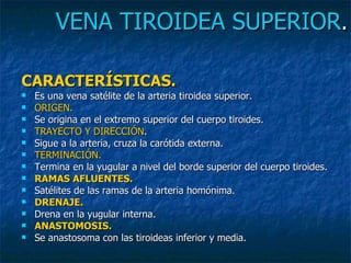 VENA TIROIDEA SUPERIOR . CARACTERÍSTICAS. Es una vena satélite de la arteria tiroidea superior. ORIGEN. Se origina en el extremo superior del cuerpo tiroides. TRAYECTO Y DIRECCIÓN . Sigue a la arteria, cruza la carótida externa. TERMINACIÓN. Termina en la yugular a nivel del borde superior del cuerpo tiroides. RAMAS AFLUENTES. Satélites de las ramas de la arteria homónima. DRENAJE. Drena en la yugular interna. ANASTOMOSIS. Se anastosoma con las tiroideas inferior y media. 