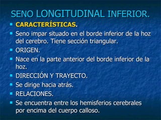 SENO  LONGITUDINAL  INFERIOR.   CARACTERÍSTICAS . Seno impar situado en el borde inferior de la hoz del cerebro. Tiene sección triangular. ORIGEN. Nace en la parte anterior del borde inferior de la hoz. DIRECCIÓN Y TRAYECTO. Se dirige hacia atrás. RELACIONES. Se encuentra entre los hemisferios cerebrales por encima del cuerpo calloso. 