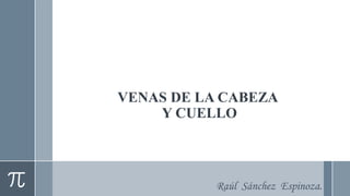 VENAS DE LA CABEZA
Y CUELLO
Raúl Sánchez Espinoza.
 