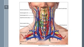 RAÚL SÁNCHEZ ESPINOZA.
 