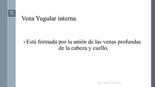 Vena Yugular interna.
› Está formada por la unión de las venas profundas
de la cabeza y cuello.
RAÚL SÁNCHEZ ESPINOZA.
 