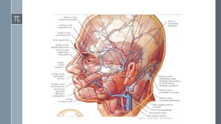 RAÚL SÁNCHEZ ESPINOZA.
 
