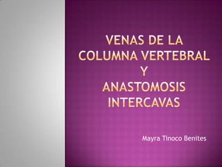 Venas de la columna vertebral y anastomosis intercavas Mayra Tinoco Benites 