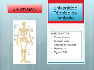 Universidad
Técnica de
Ambato
INTEGRANTES:
• Vanesa Aimara
• Patricia Castro
• Andrea Choloquinga
• Dennys Iza
• Mylene Pallo
ANATOMIA
 