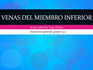 VENAS DEL MIEMBRO INFERIOR
        Erika Gabriela Vega Obeso
        Anatomía general, grupo 13.2
 