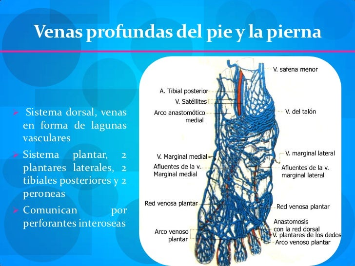 La utilidad de las medias compresivas a varikoze