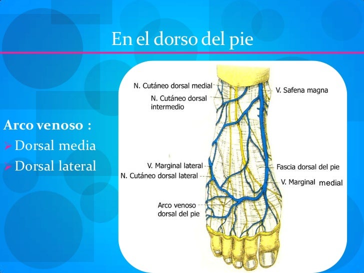 Los síntomas de la trombosis de la arteria