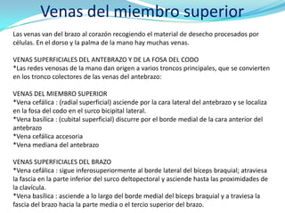 Venas del miembro superior
Las venas van del brazo al corazón recogiendo el material de desecho procesados por
células. En el dorso y la palma de la mano hay muchas venas.

VENAS SUPERFICIALES DEL ANTEBRAZO Y DE LA FOSA DEL CODO
*Las redes venosas de la mano dan origen a varios troncos principales, que se convierten
en los tronco colectores de las venas del antebrazo:

VENAS DEL MIEMBRO SUPERIOR
*Vena cefálica : (radial superficial) asciende por la cara lateral del antebrazo y se localiza
en la fosa del codo en el surco bicipital lateral.
*Vena basílica : (cubital superficial) discurre por el borde medial de la cara anterior del
antebrazo
*Vena cefálica accesoria
*Vena mediana del antebrazo

VENAS SUPERFICIALES DEL BRAZO
*Vena cefálica : sigue inferosuperiormente al borde lateral del bíceps braquial; atraviesa
la fascia en la parte inferior del surco deltopectoral y asciende hasta las proximidades de
la clavícula.
*Vena basílica : asciende a lo largo del borde medial del bíceps braquial y a traviesa la
fascia del brazo hacia la parte media o el tercio superior del brazo.
 