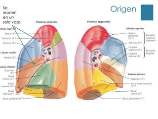 Se
reúnen
            Origen
en un
solo vaso
 