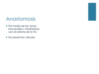 Anastomosis
 Por medio de las venas
  bronquiales y mediastinas
  con el sistema de la VC

 No presentan válvulas
 