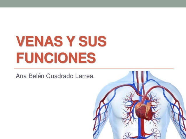 Venas y sus funciones - FISIOLOGIA