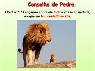 Conselho de PedroConselho de Pedro
I Pedro: 5.7 Lançando sobre ele toda a vossa ansiedade,
porque ele tem cuidado de vós.
 