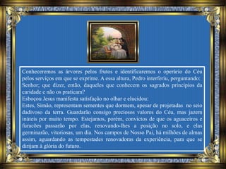 Conheceremos as árvores pelos frutos e identificaremos o operário do Céu
pelos serviços em que se exprime. A essa altura, Pedro interferiu, perguntando:
Senhor; que dizer, então, daqueles que conhecem os sagrados princípios da
caridade e não os praticam?
Esboçou Jesus manifesta satisfação no olhar e elucidou:
Estes, Simão, representam sementes que dormem, apesar de projetadas no seio
dadivoso da terra. Guardarão consigo preciosos valores do Céu, mas jazem
inúteis por muito tempo. Estejamos, porém, convictos de que os aguaceiros e
furacões passarão por elas, renovando-lhes a posição no solo, e elas
germinarão, vitoriosas, um dia. Nos campos de Nosso Pai, há milhões de almas
assim, aguardando as tempestades renovadoras da experiência, para que se
dirijam à glória do futuro.
 