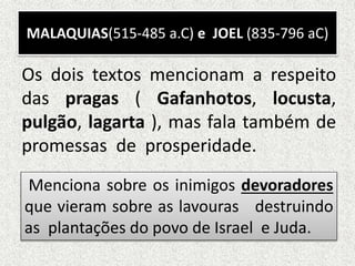MALAQUIAS(515-485 a.C) e JOEL (835-796 aC)
Os dois textos mencionam a respeito
das pragas ( Gafanhotos, locusta,
pulgão, lagarta ), mas fala também de
promessas de prosperidade.
Menciona sobre os inimigos devoradores
que vieram sobre as lavouras destruindo
as plantações do povo de Israel e Juda.
 