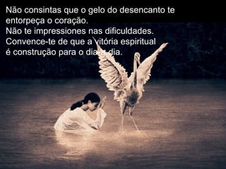 Não consintas que o gelo do desencanto te
entorpeça o coração.
Não te impressiones nas dificuldades.
Convence-te de que a vitória espiritual
é construção para o dia-a-dia.
 