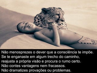 Não menosprezes o dever que a consciência te impõe.
Se te enganaste em algum trecho do caminho,
reajusta a própria visão e procura o rumo certo.
Não contes vantagens nem fracassos.
Não dramatizes provações ou problemas.
 