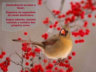 Centraliza-te no bem a fazer. Esquece as sugestões do medo destrutivo. Segue adiante, mesmo varando a sombra dos próprios erros. 