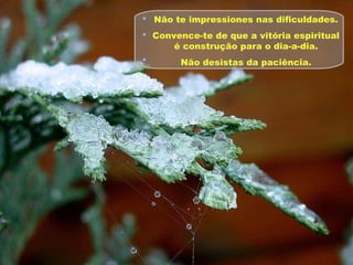 Não te impressiones nas dificuldades. Convence-te de que a vitória espiritual é construção para o dia-a-dia. Não desistas da paciência. 