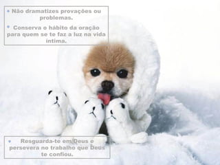 Não dramatizes provações ou problemas. Conserva o hábito da oração para quem se te faz a luz na vida íntima. Resguarda-te em Deus e persevera no trabalho que Deus te confiou. 
