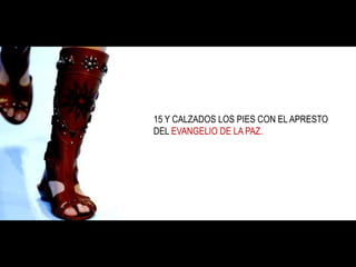 4) HUIR.1 Timoteo 6:10-1110 porque raíz de todos los males es el amor al dinero, el cual codiciando algunos, se extraviaron de la fe y fueron atormentados con muchos dolores. 11 Pero tú, hombre de Dios, huye de estas cosas y sigue la justicia, la piedad, la fe, el amor, la paciencia, la mansedumbre.2 Timoteo 2:22Huye también de las pasiones juveniles y sigue la justicia, la fe, el amor y la paz, con los que de corazón limpio invocan al Señor.