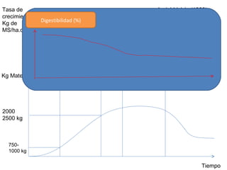 Tasa de crecimiento Kg de MS/ha.día Tiempo André Voisin (1963) 750- 1000 kg 2000 2500 kg Kg Materia seca /ha Digestibilidad (%) 