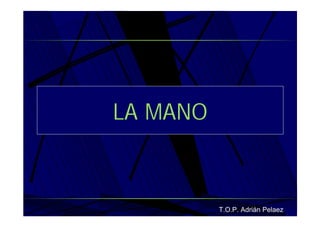 Vendaje Funcional Miembro Superior