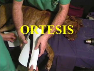 ORTESIS
 