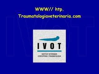WWW// htp.
Traumatologiaveterinaria.com
 