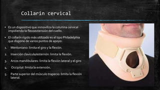 Collarin cervical
▪ Es un dispositivo que inmoviliza la columna cervical
impidiendo la flexoextensión del cuello.
▪ El collarín rígido más utilizado es el tipo Philadelphia
que dispone de varios puntos de apoyo:
1. Mentoniano: limita el giro y la flexión.
2. Inserción clavícula/esternón: limita la flexión.
3. Arcos mandibulares: limita la flexión lateral y el giro
4. Occipital: limita la extensión.
5. Parte superior del músculo trapecio: limita la flexión
lateral.
 